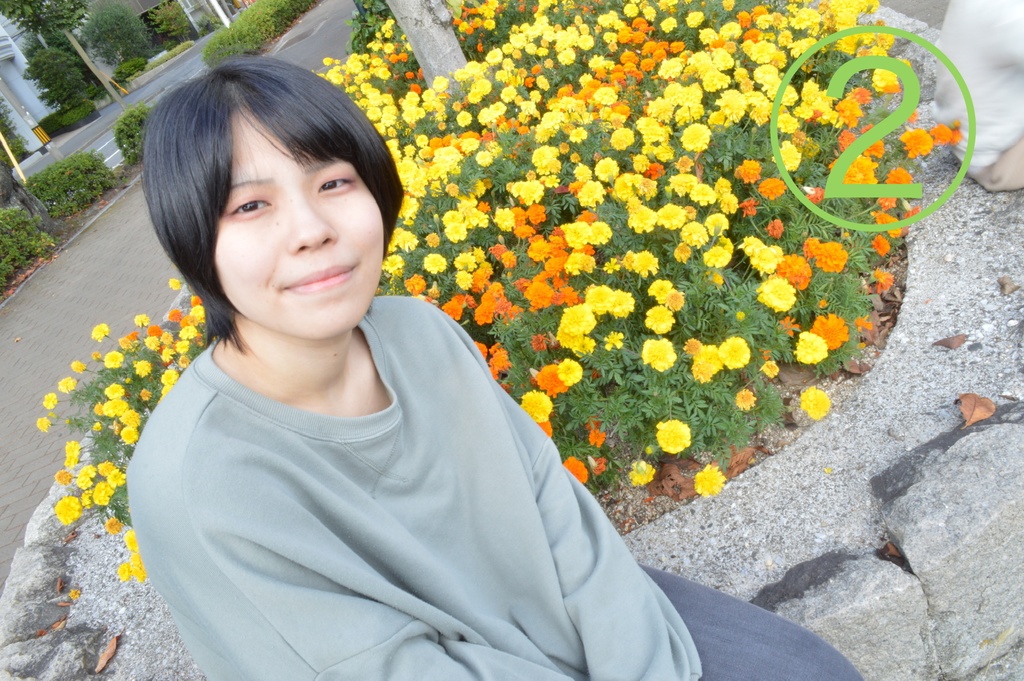 ใใชใใ๐ตใใญใใคใโ
ก