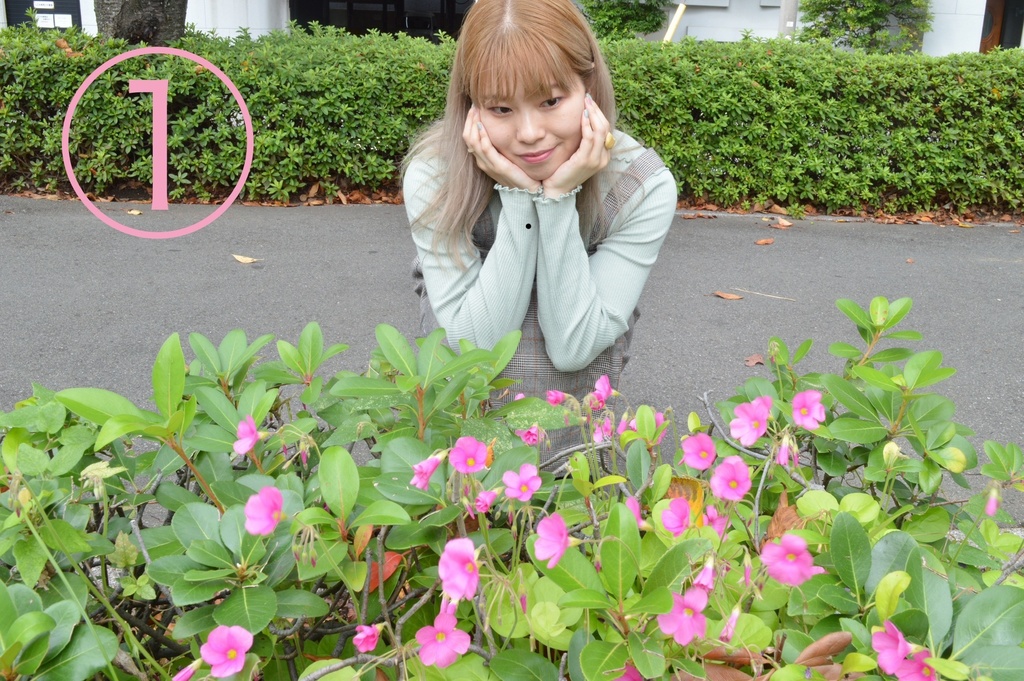 ใใใใ๐ใใญใใคใโ
ก