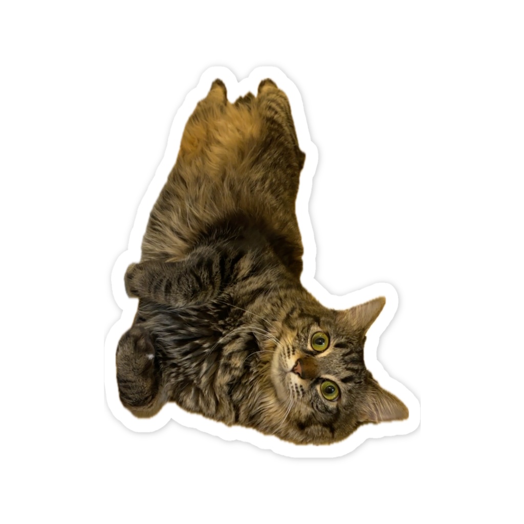 保護猫ルーミーのへそテン ステッカー