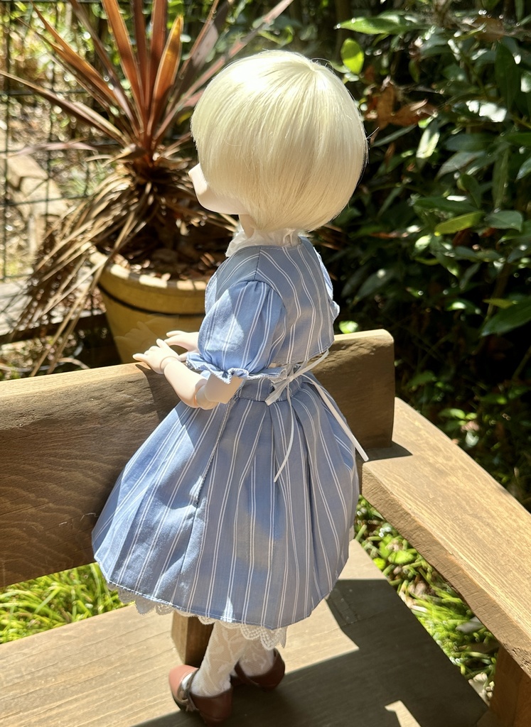 サマーセットアップ