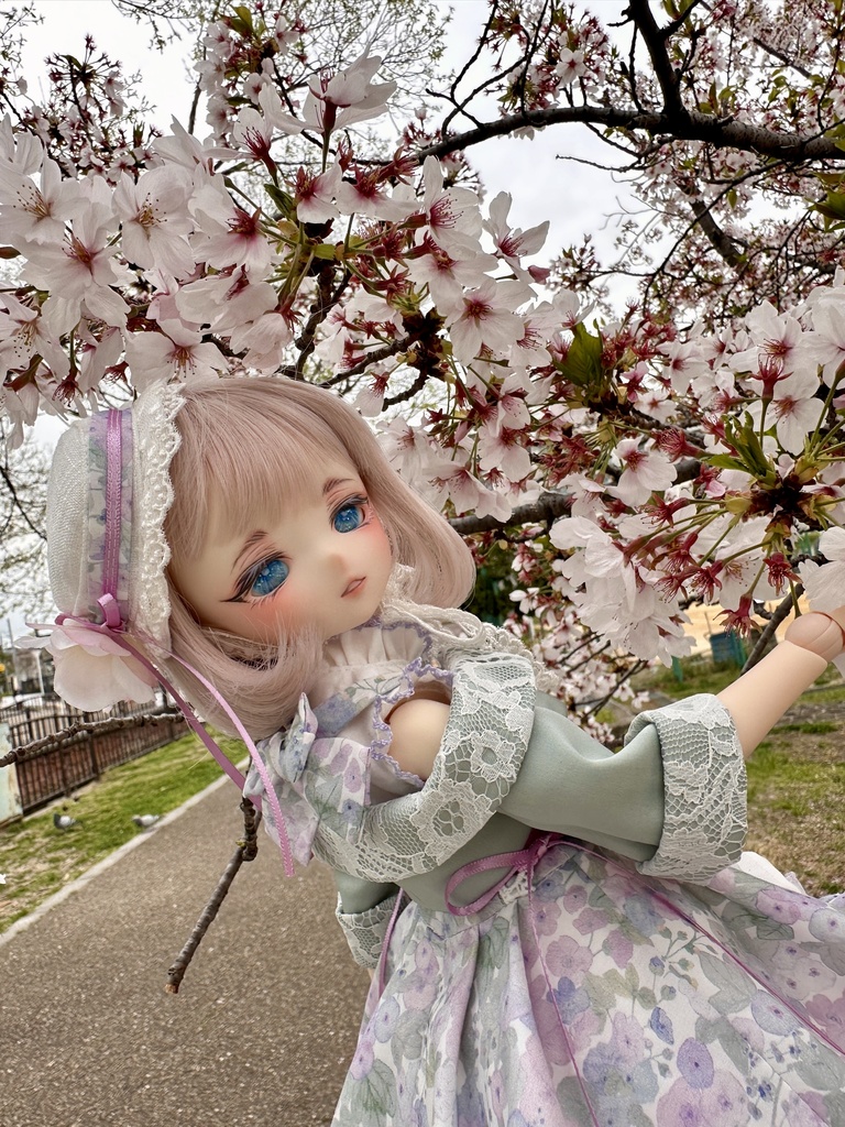 パステルパーティー 1/4