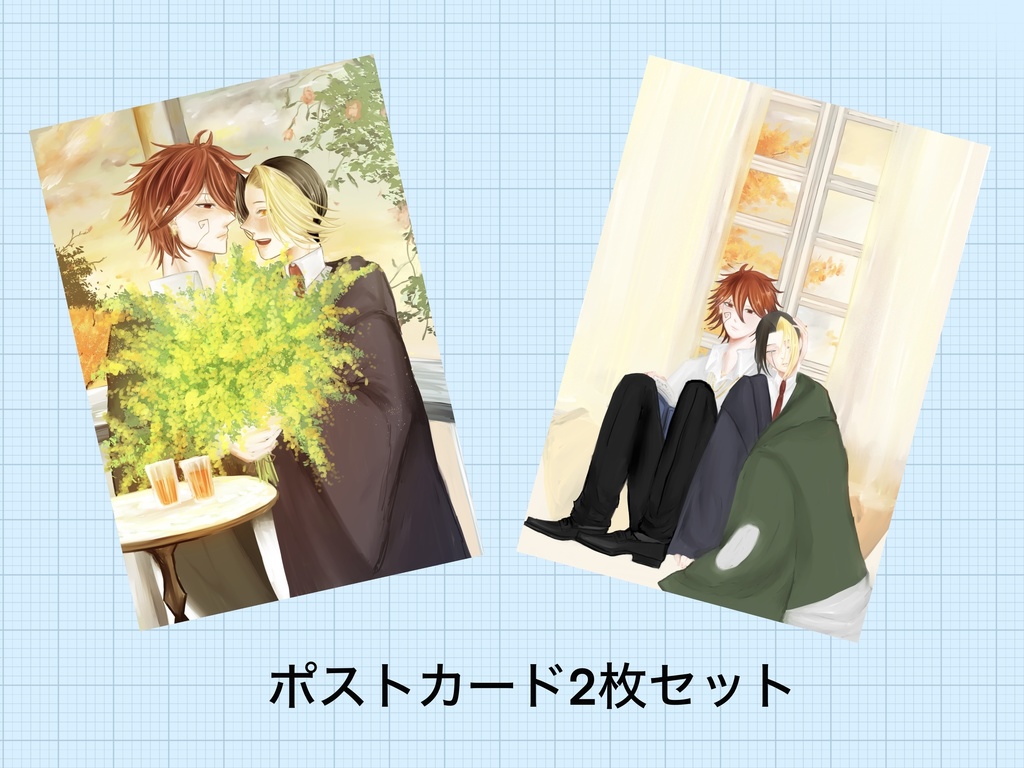 パチョフィンポストカードセット