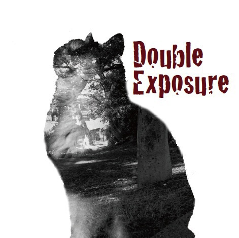 変拍子ギターInst.Rock!! "Double Exposure" (Dr.Aardvarks Works Vol,11)