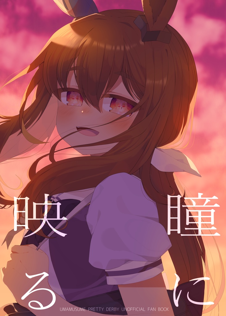 （C100新刊）瞳に映る