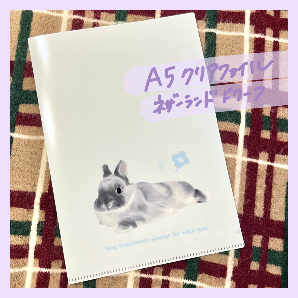 A5クリアファイル（ネザーランドドワーフ、うさぎ）