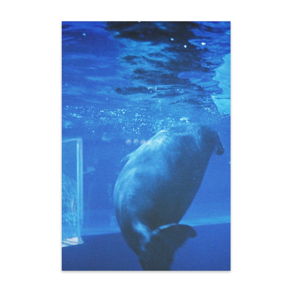 冷たいからだ達