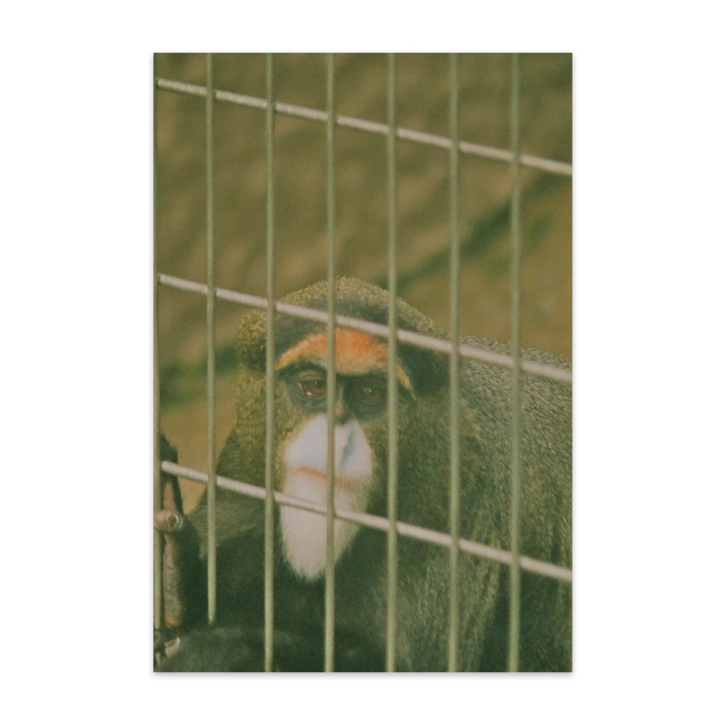 アンニュイな君