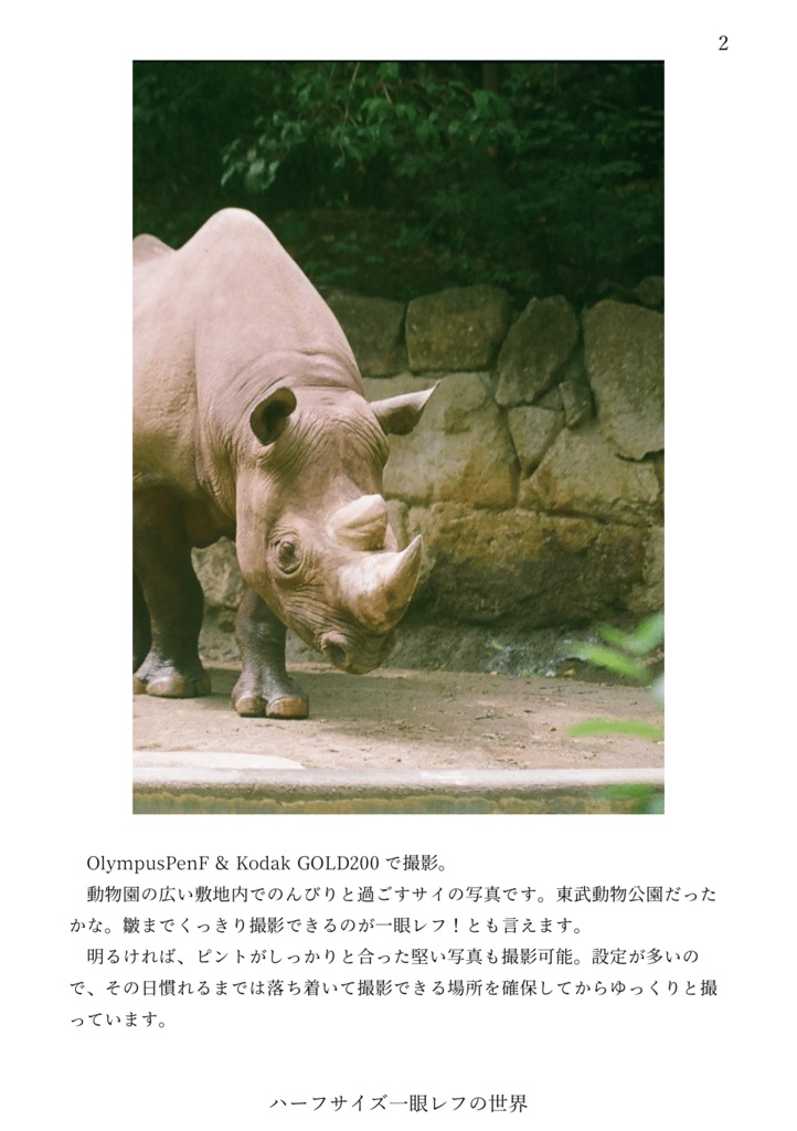 #ハーフサイズ一眼レフの世界【フリーペーパー】【無料小冊子】