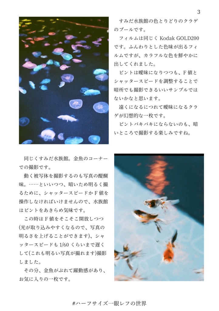 #ハーフサイズ一眼レフの世界【フリーペーパー】【無料小冊子】