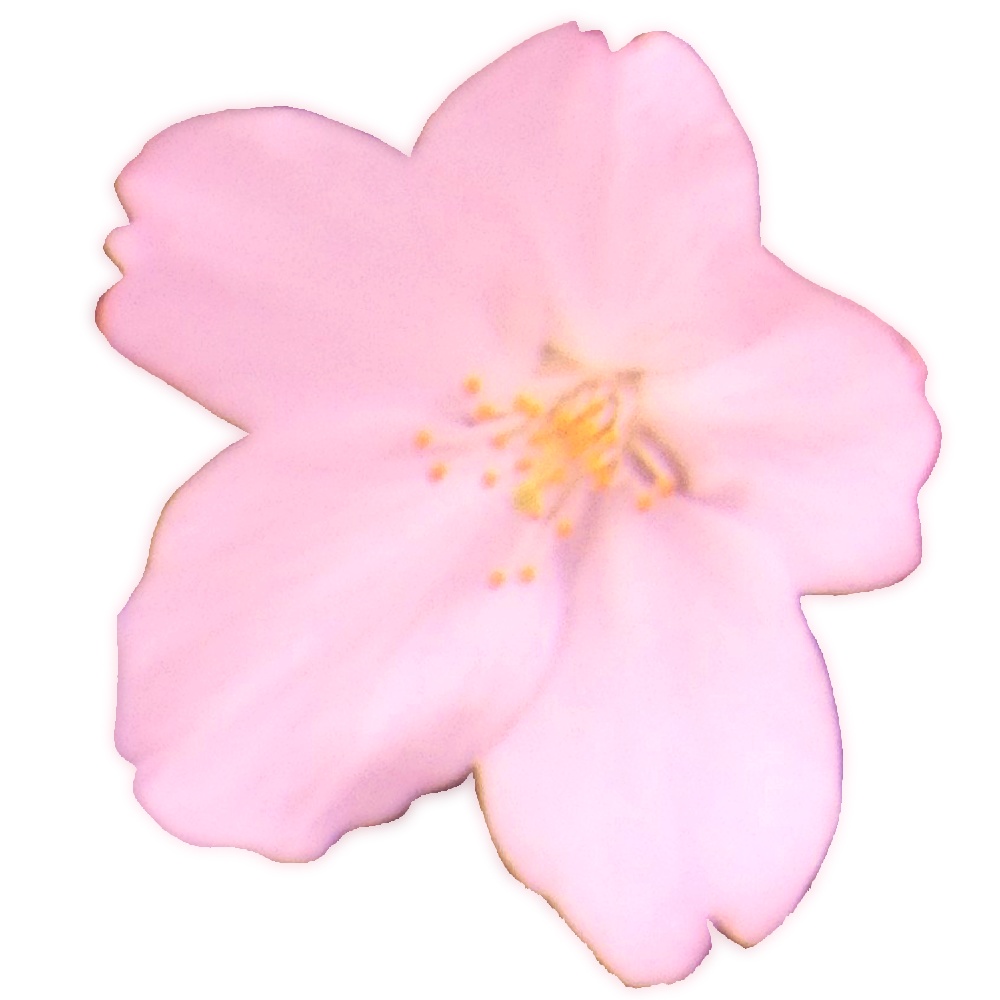 桜ブラシとペン先用素材