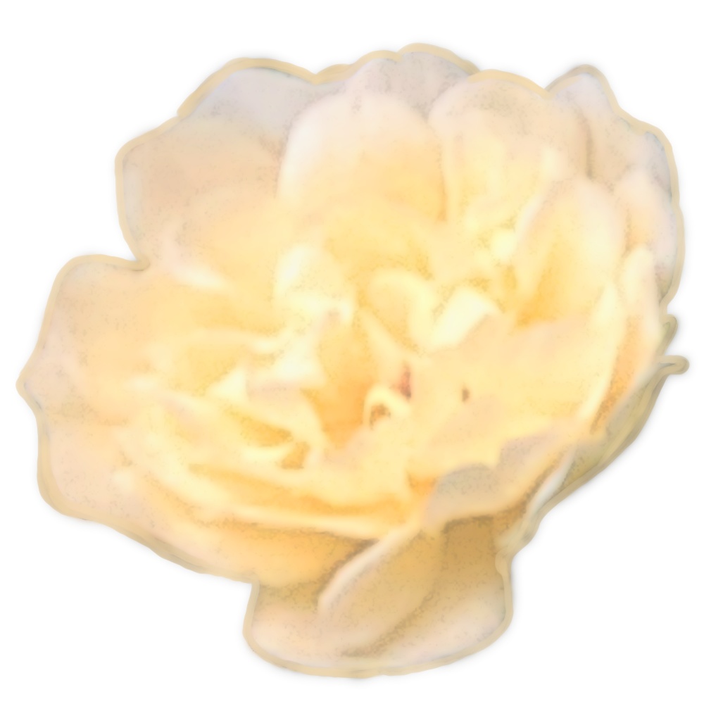 モッコウバラブラシとペン先用素材