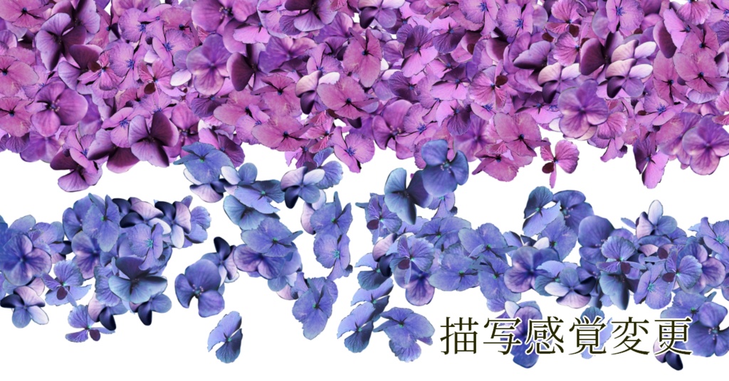 紫陽花素材、紫陽花ブラシ