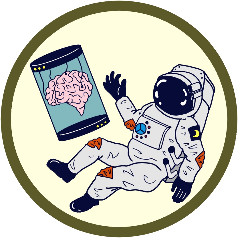 月から帰り君に会えたら