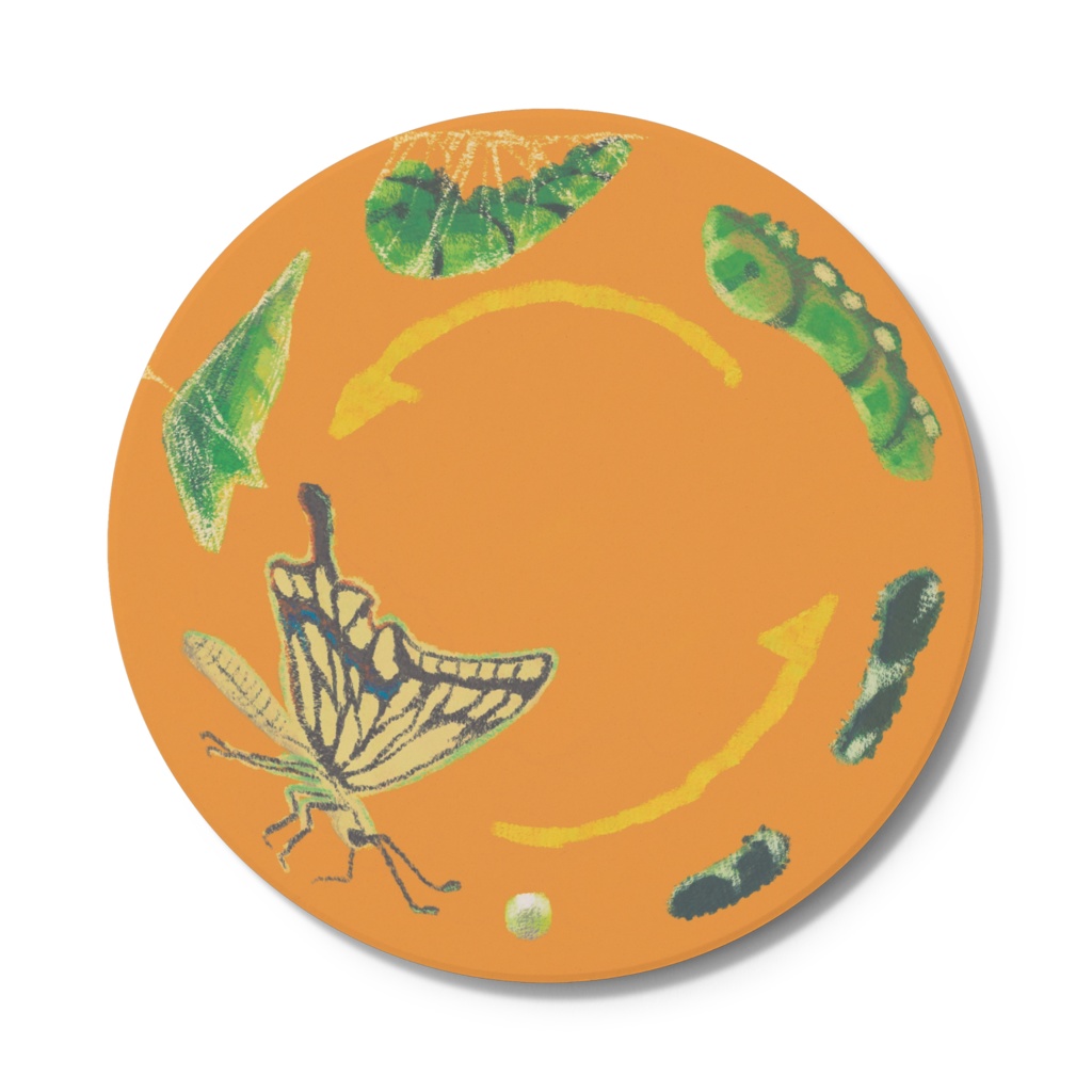 あげはこーすたー