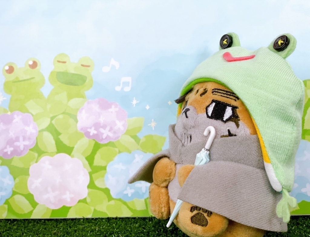 かえるちゃんのおぼうし