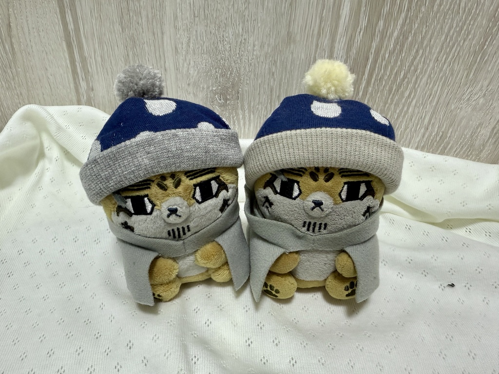 フォゼちゃんの冬支度 猫ドット柄