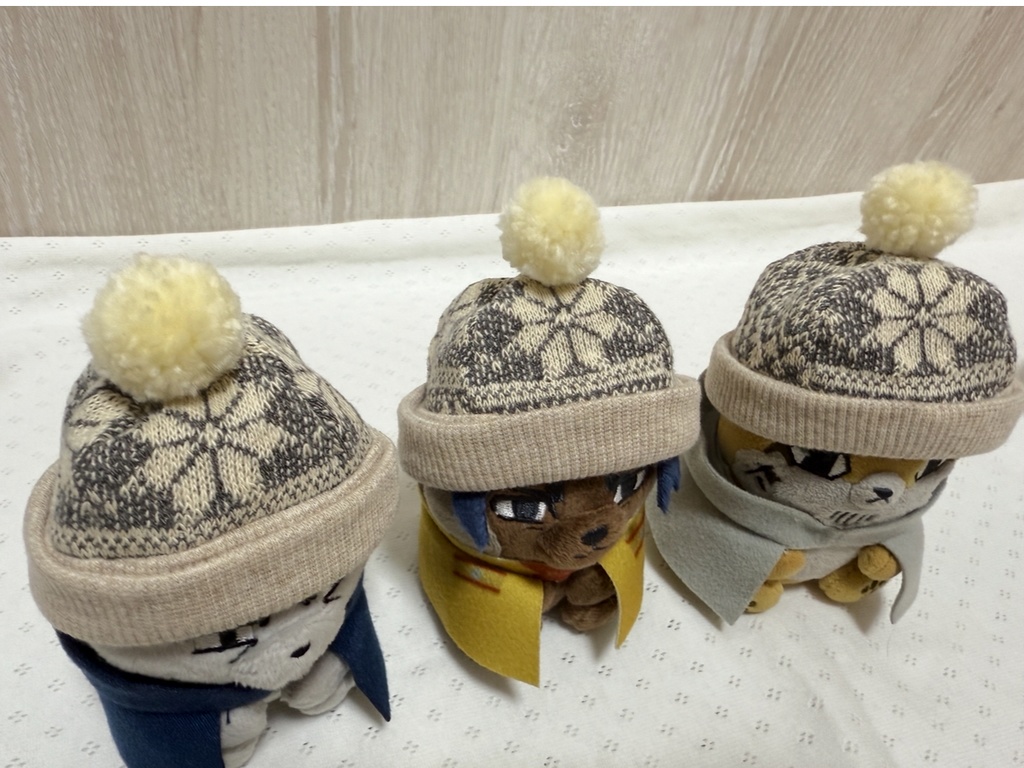 フォゼちゃんの冬支度 スノーグレー2種