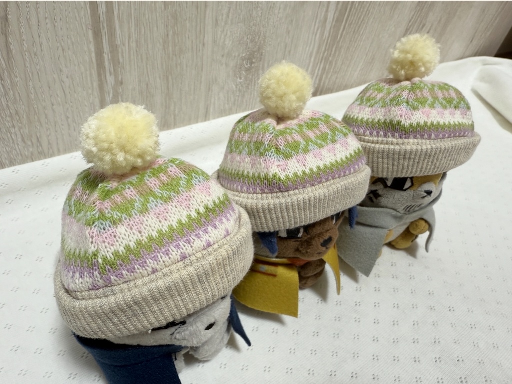 フォゼちゃんの冬支度 ピンク3種