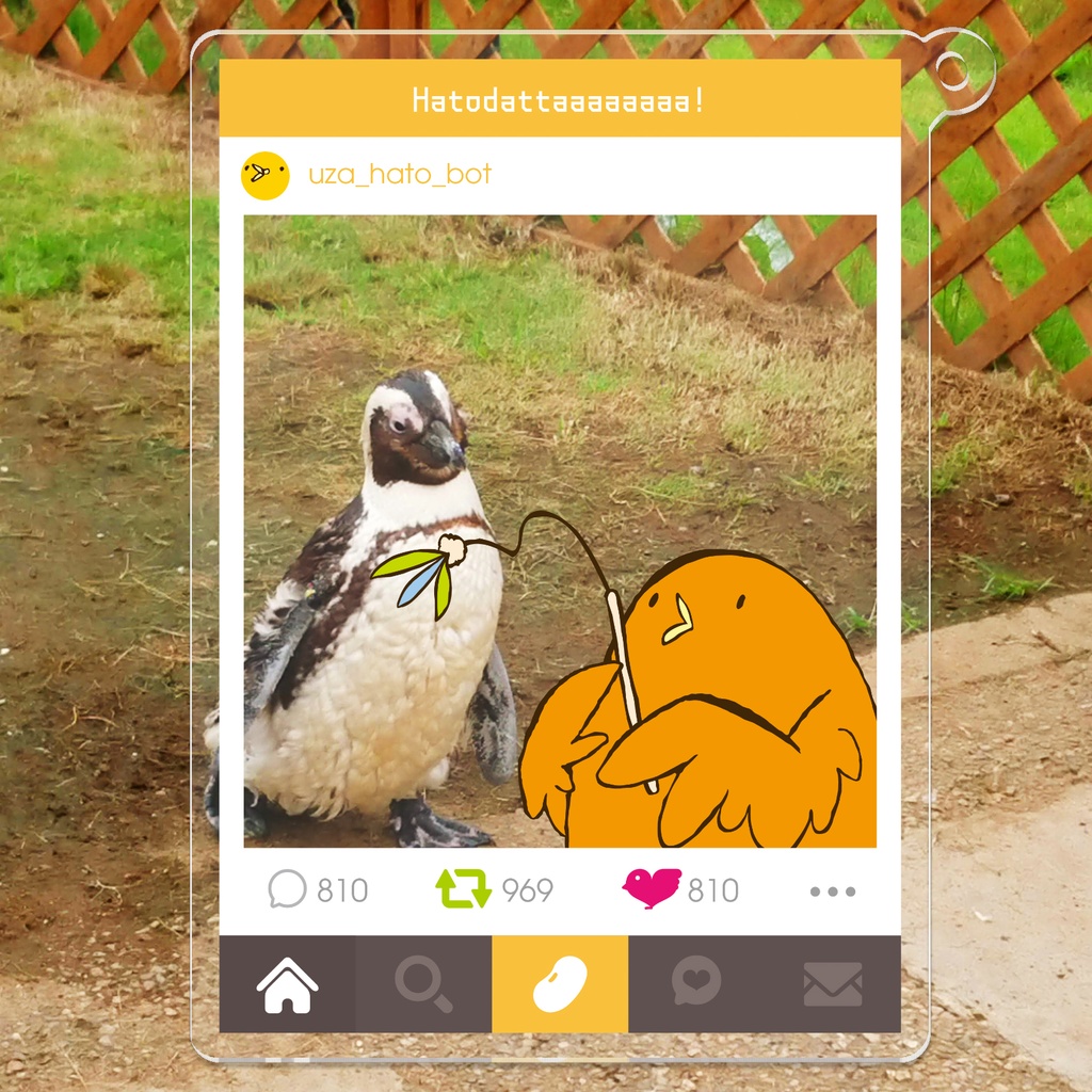 いきものの戯れ画像をアップするとバズると聞いたハトのアクキー