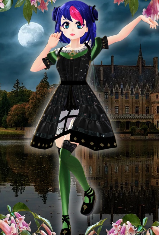 Midnight Swan Lake Gothic Lolita Coord