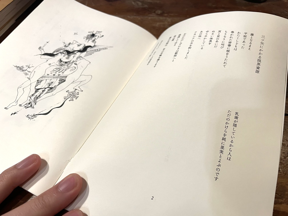 詩画集「削いだって、削いだって、もとの皮なら」(特典付)