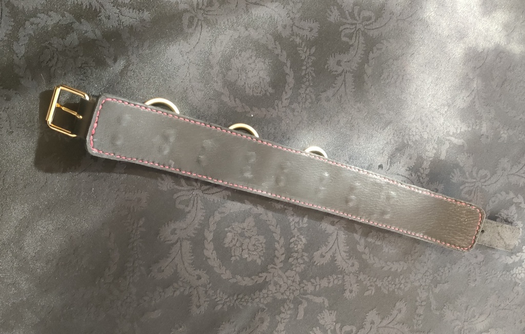 SMコスプレ 調教首輪