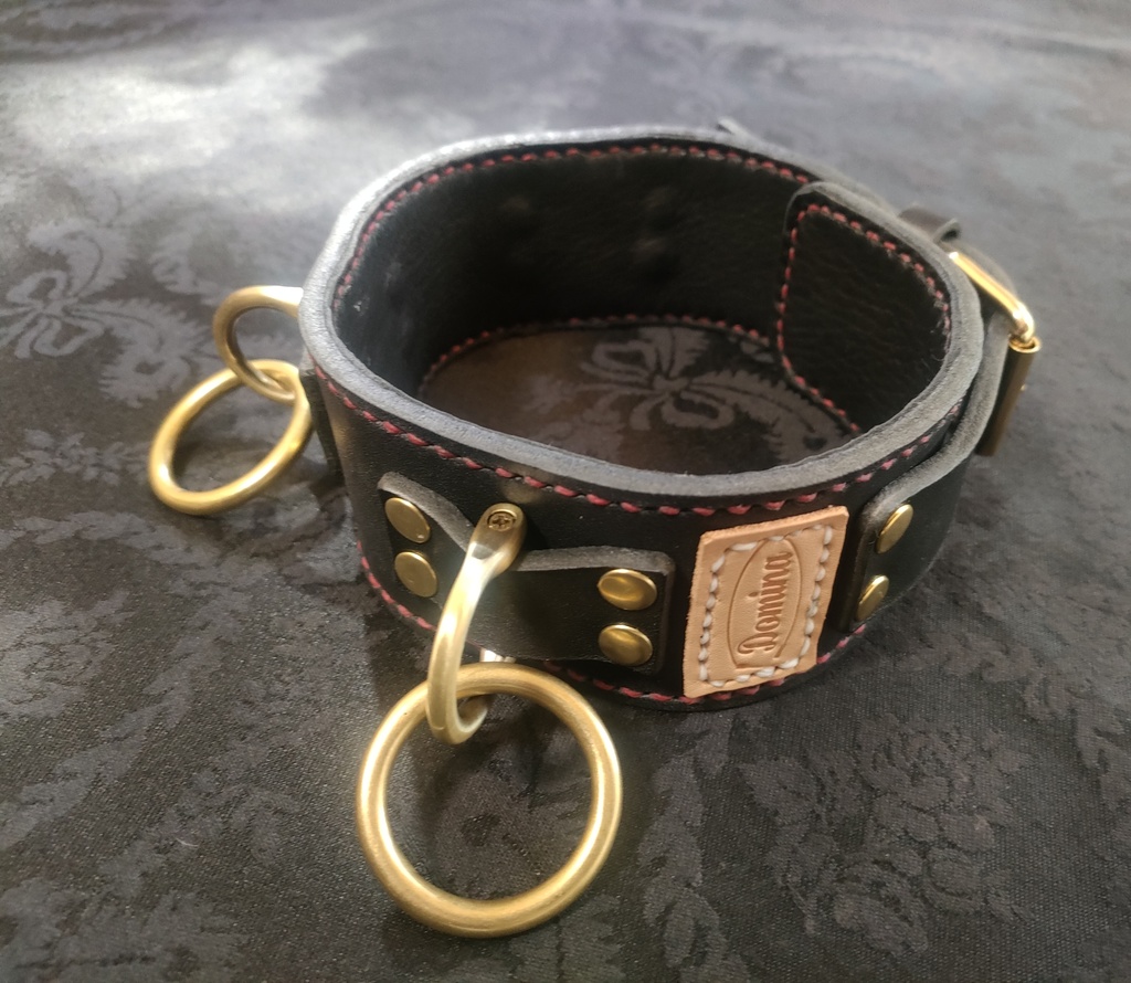 SMコスプレ 調教首輪