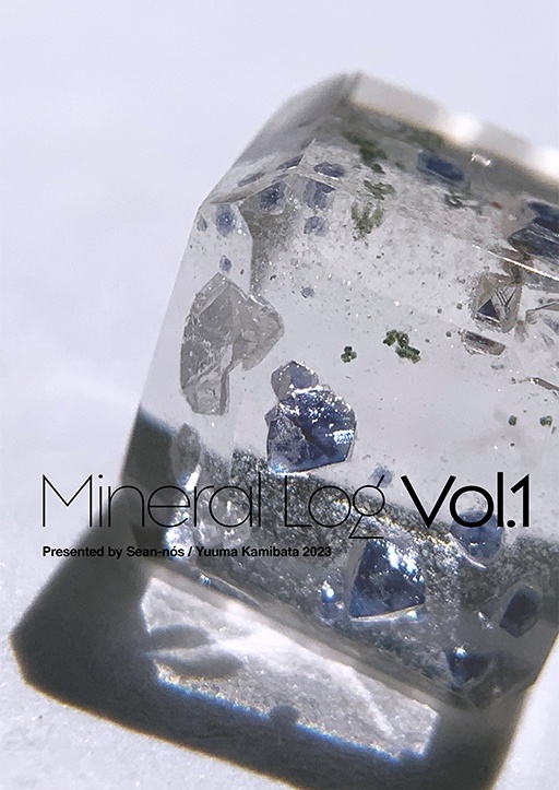 Mineral Log Vol.1