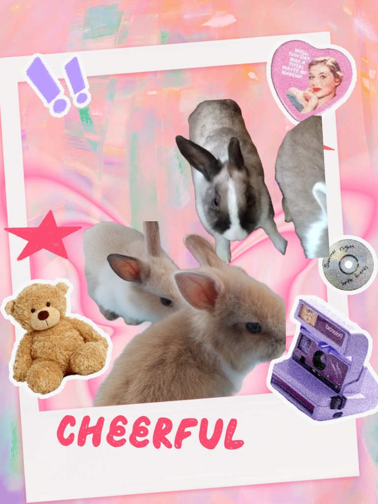 うさぎのマスキングテープ