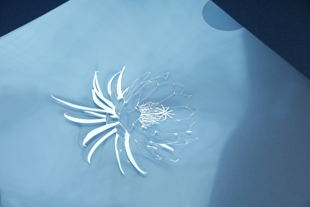 -hitoyume- Clear File