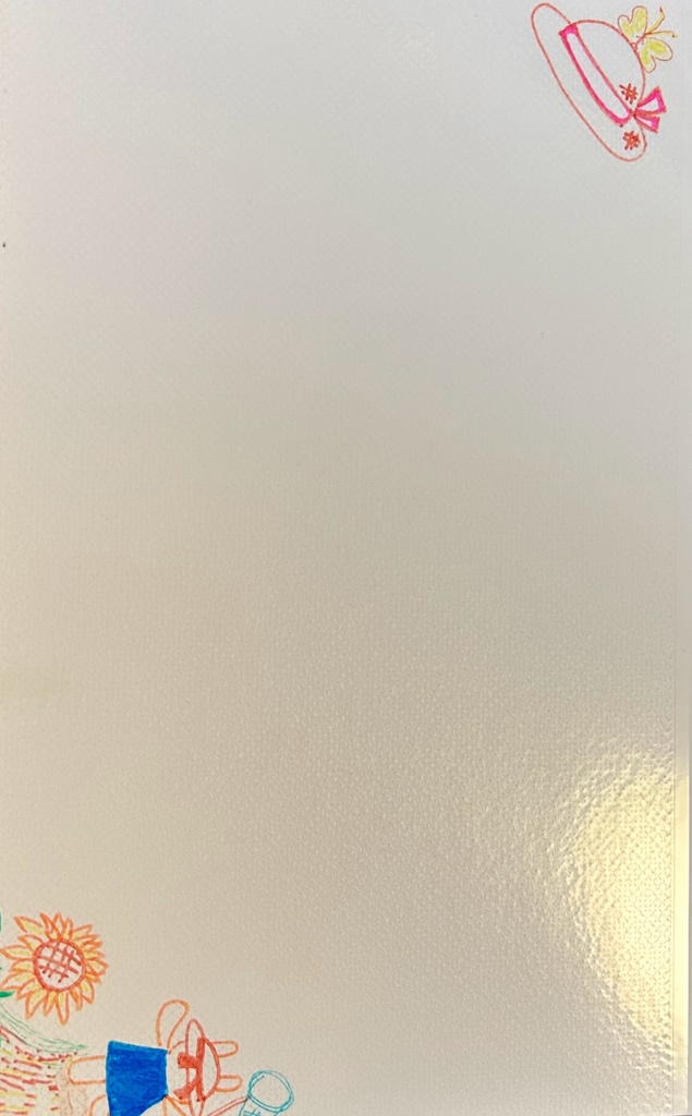 フォトブック(ぴょんモフと一緒)