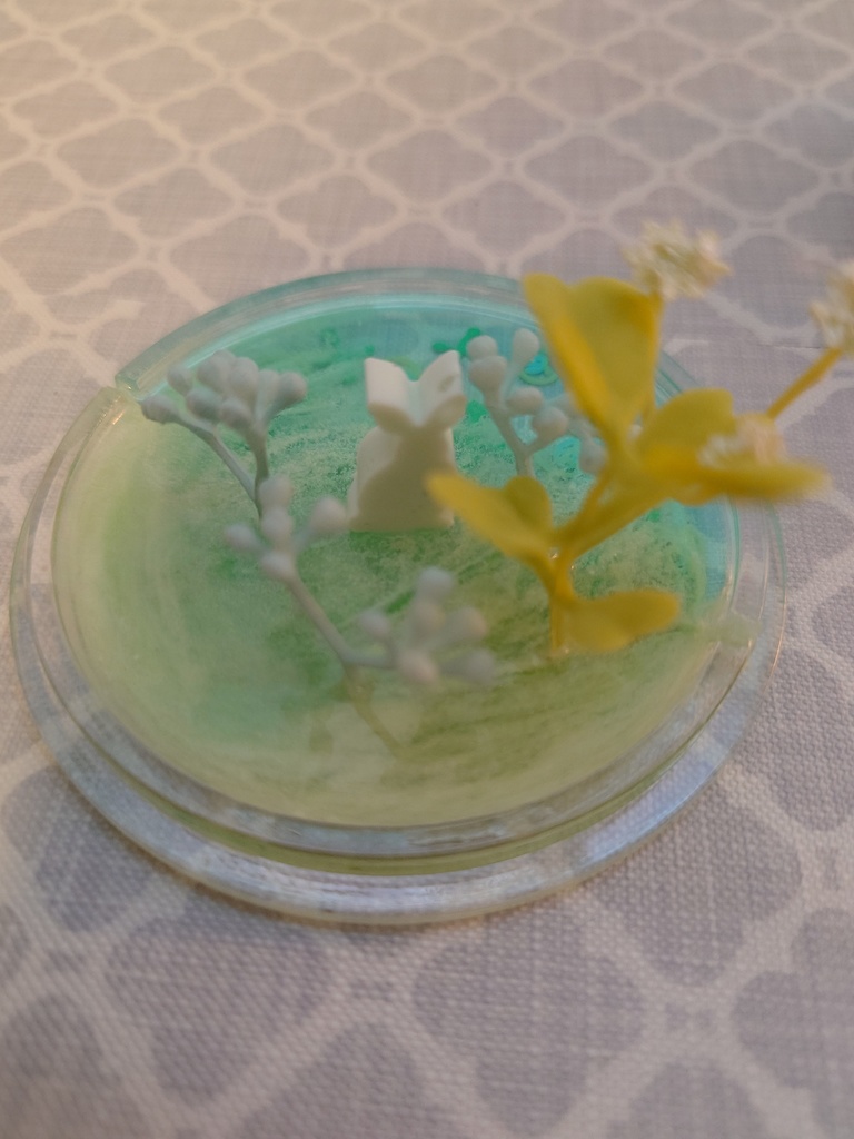 猫さんと猫さん(上にはウサギさん)