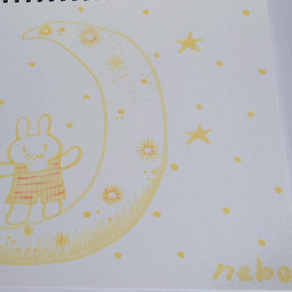 🌙月に居るうさぎ