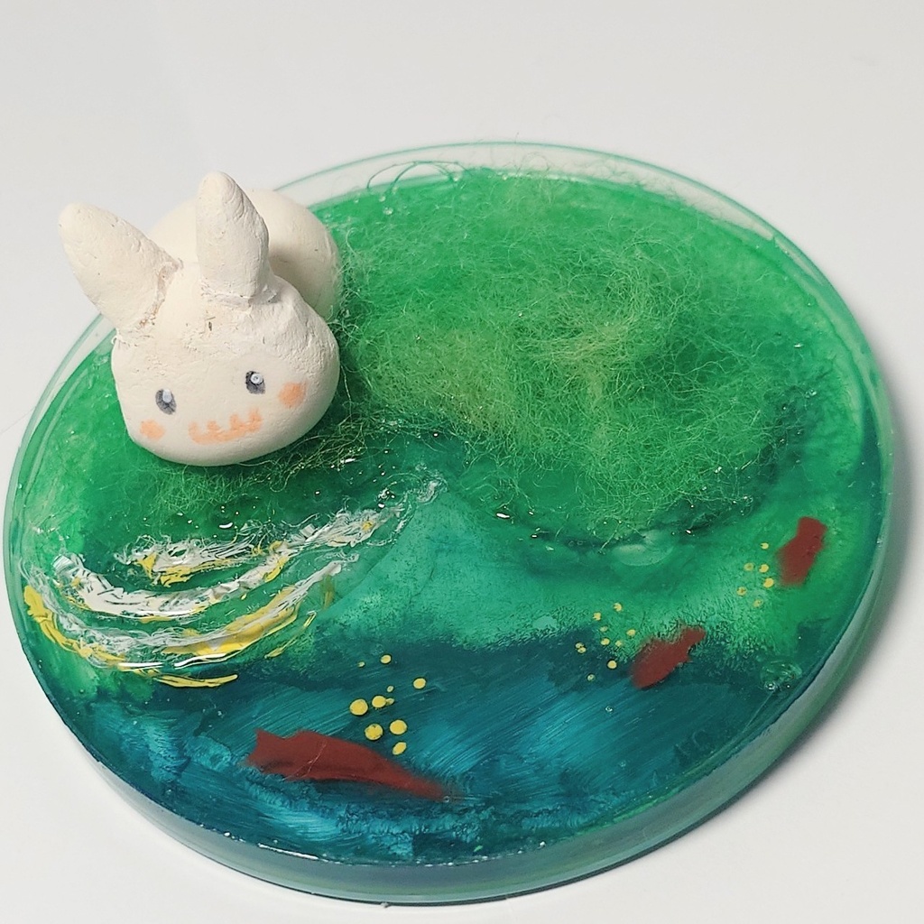 水を飲むうさぎ