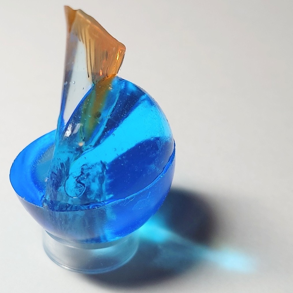 平べったい三角の魚