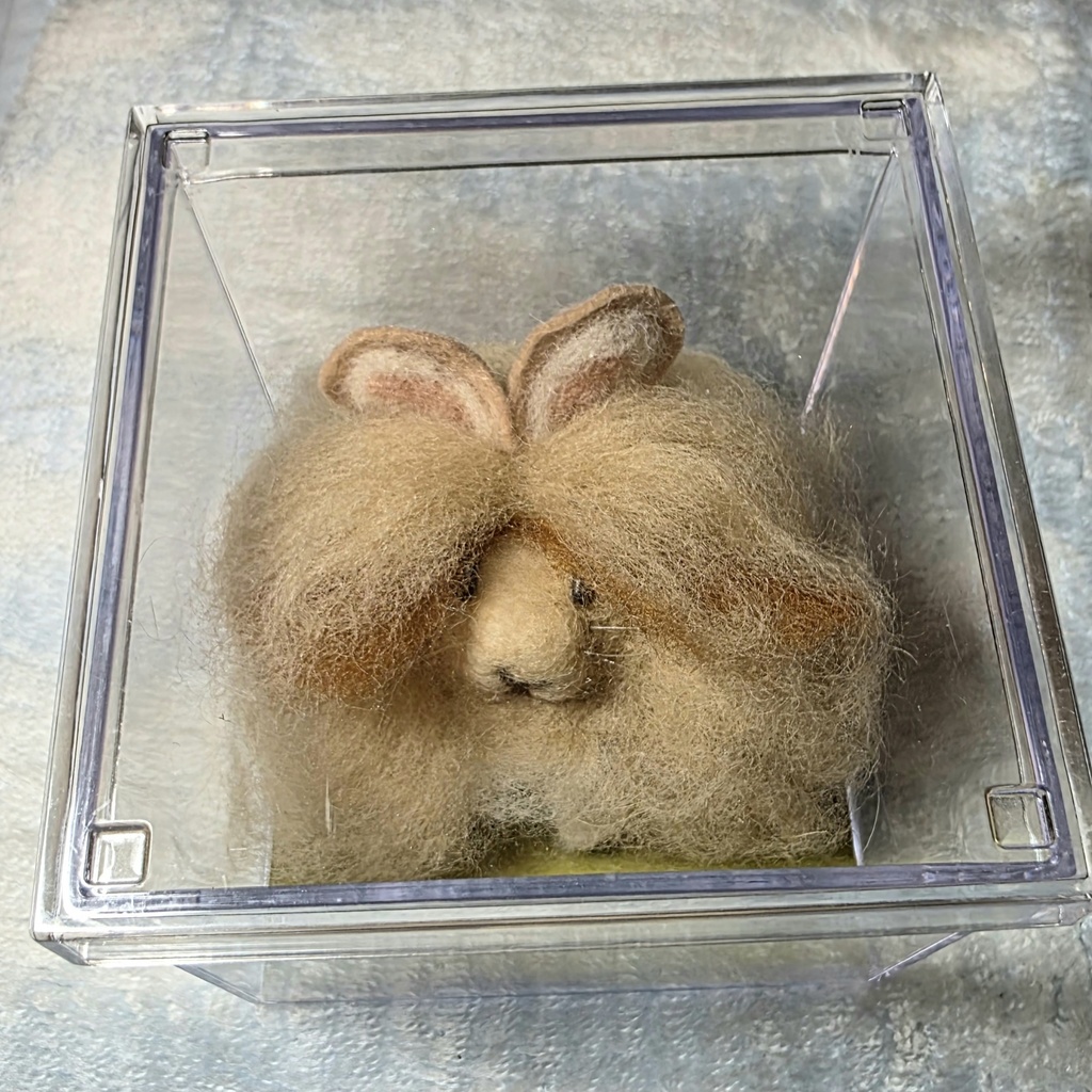 もふもふ〜🩷rabbit(アンゴラ風)