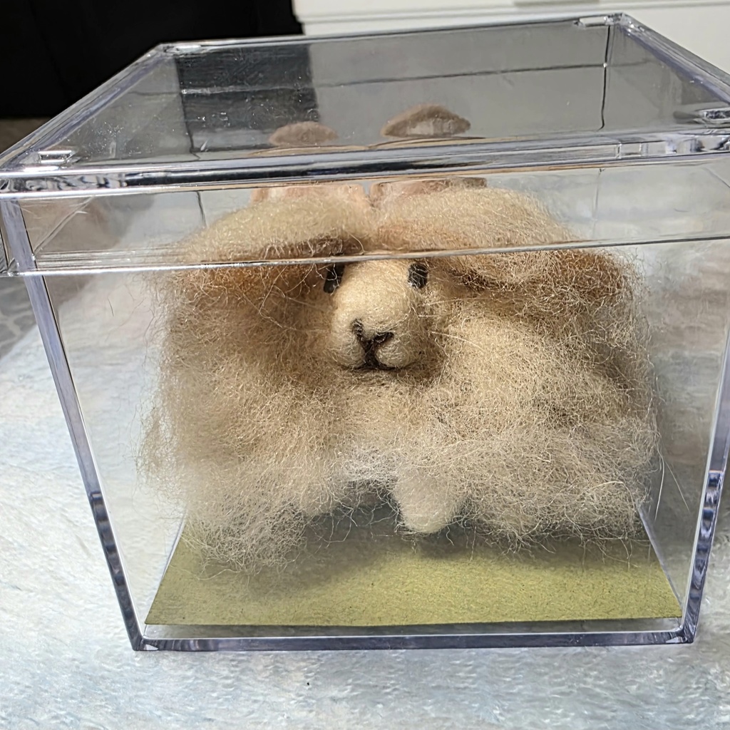 もふもふ〜🩷rabbit(アンゴラ風)