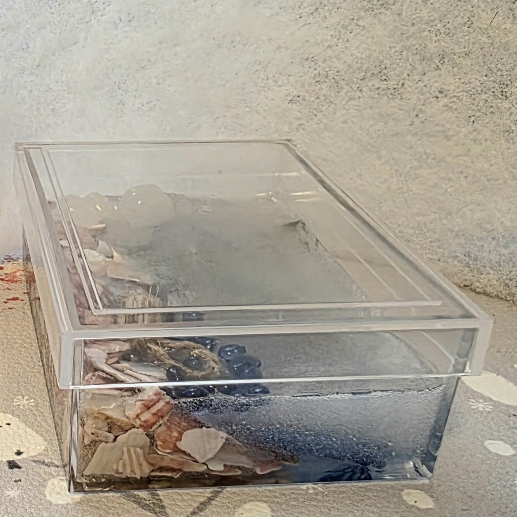 レジンアート作品(海の中)