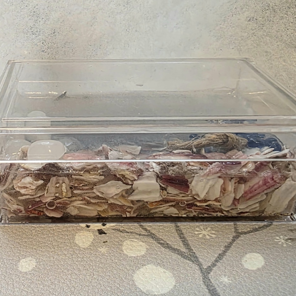 レジンアート作品(海の中)