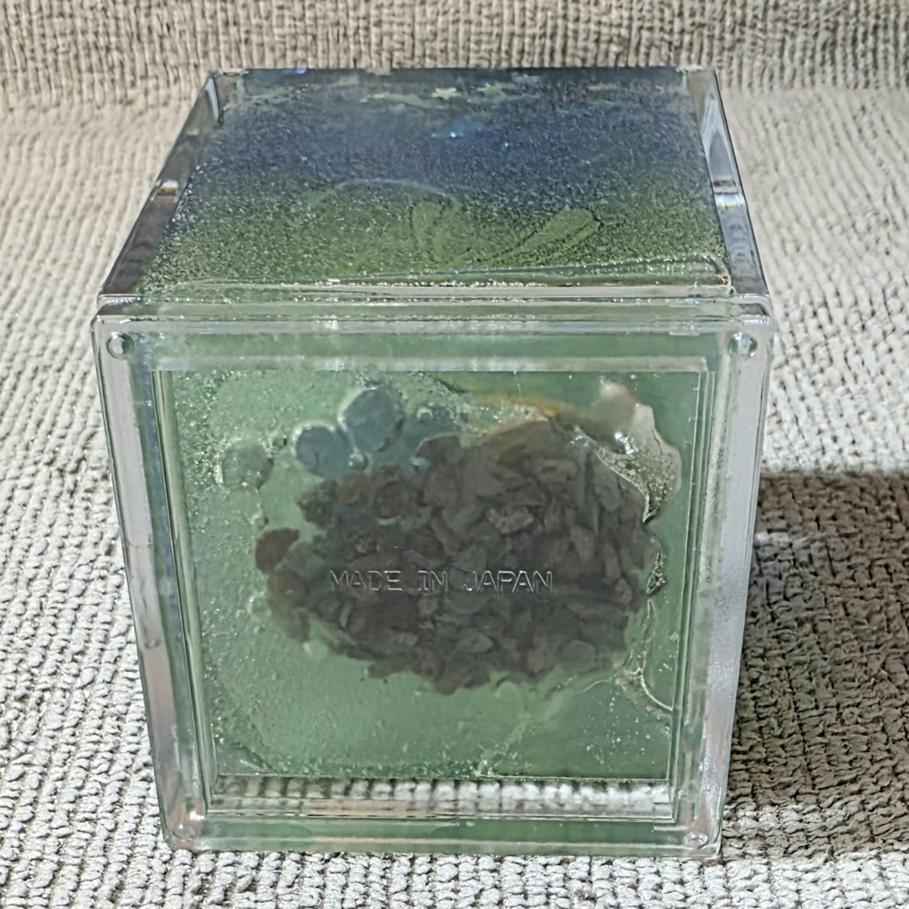 キラキラと魚の箱