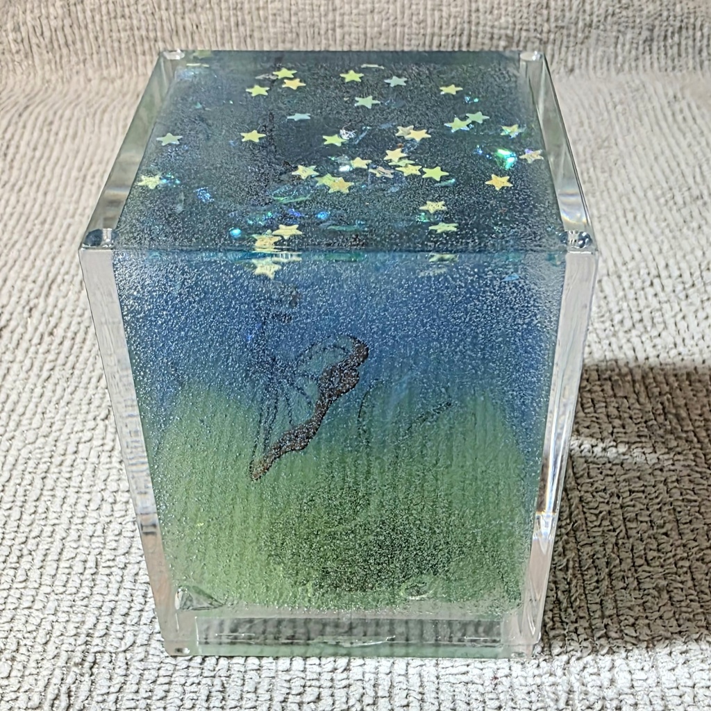 キラキラと魚の箱