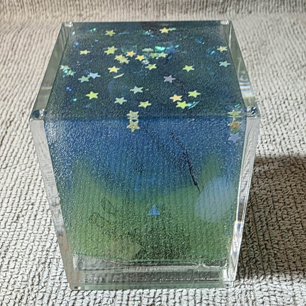 キラキラと魚の箱