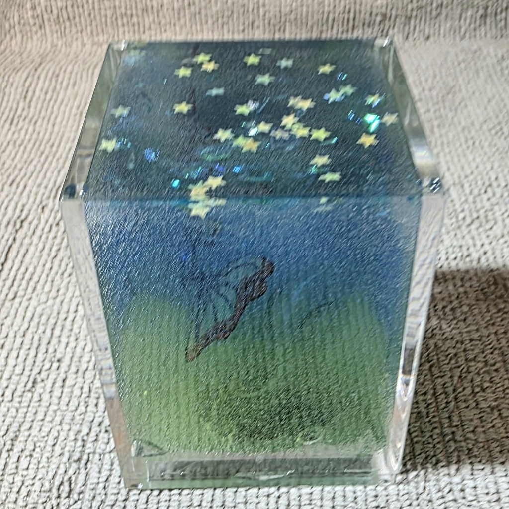 キラキラと魚の箱