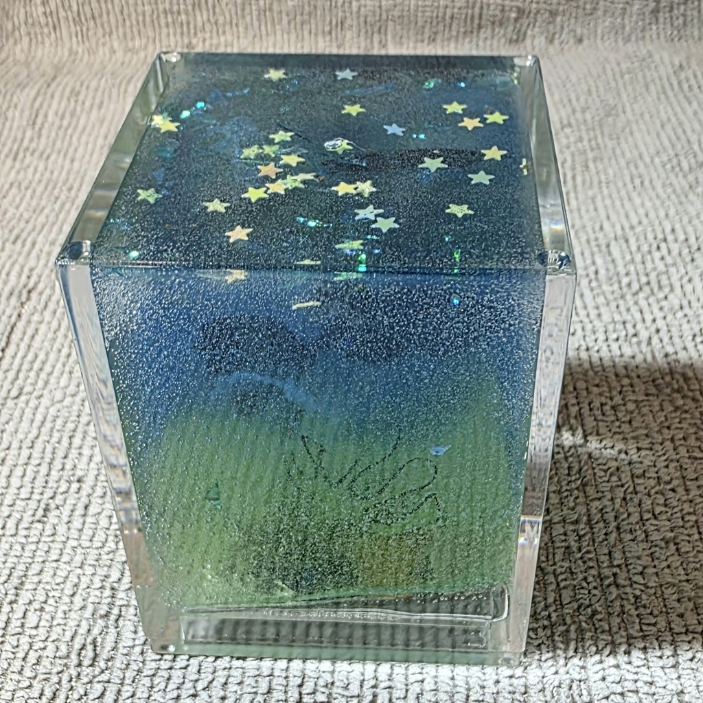 キラキラと魚の箱