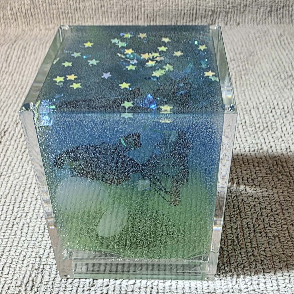 キラキラと魚の箱