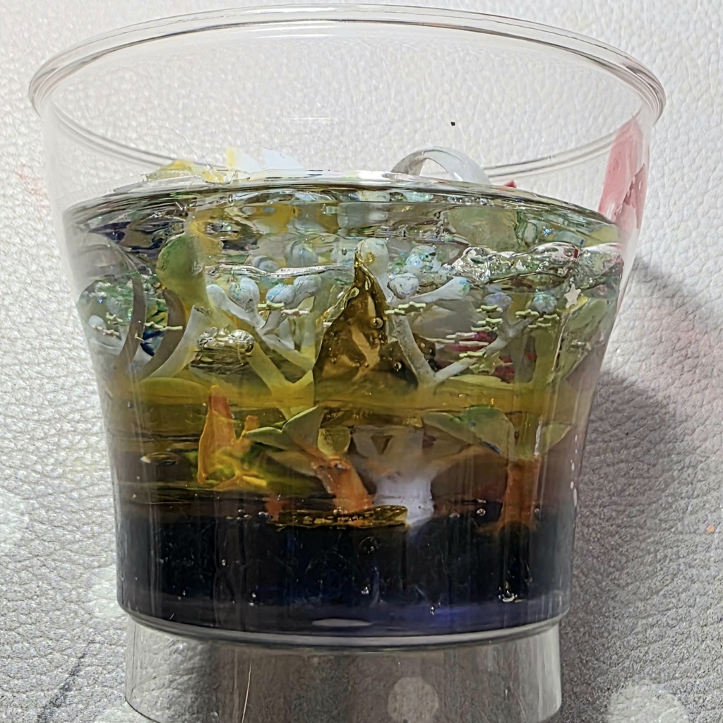 うさぎさんちゃぷちゃぷ(泳ぐお魚さん)