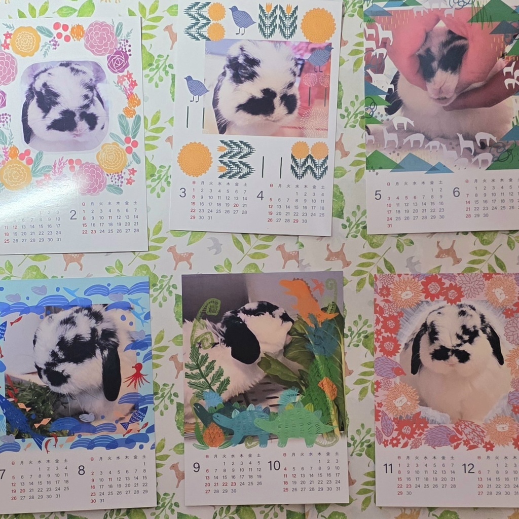 愛娘の写真カレンダー（２０２６年１月～１２月）