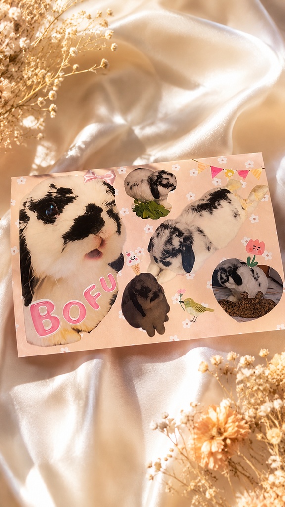 Bofuのシール写真