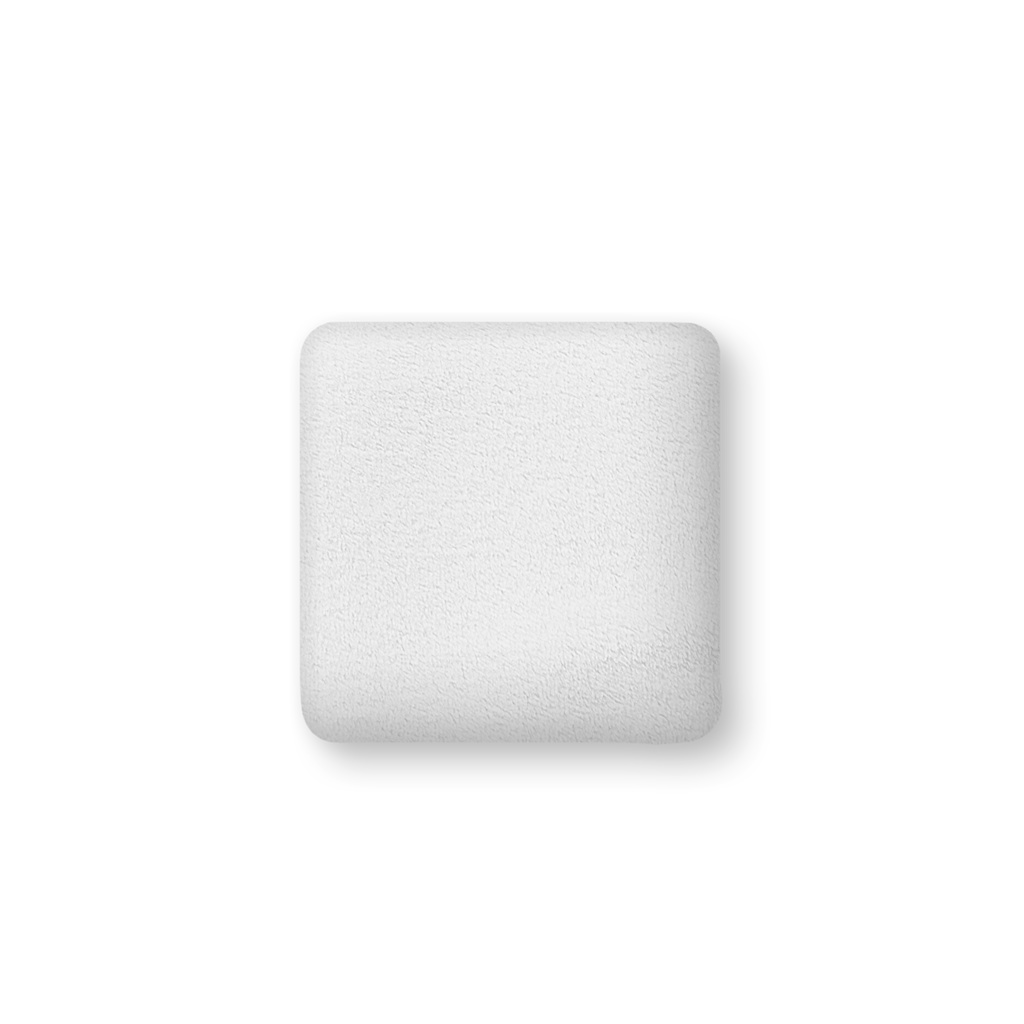 ぴゅんちゃんの夏香るさわやかクッション illust:りんね