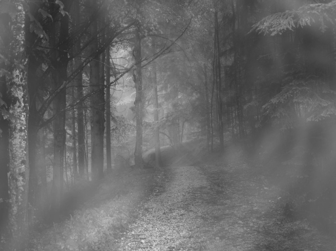 TRPG素材 | 雨・霧・雪・嵐APNG